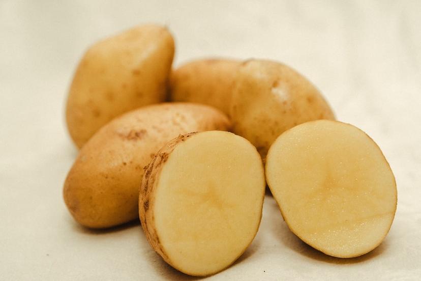Kartoffeln - Agria